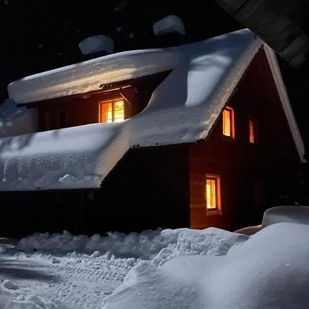 Digital Detox Chalet Pokljuka Goreljek Exterior photo