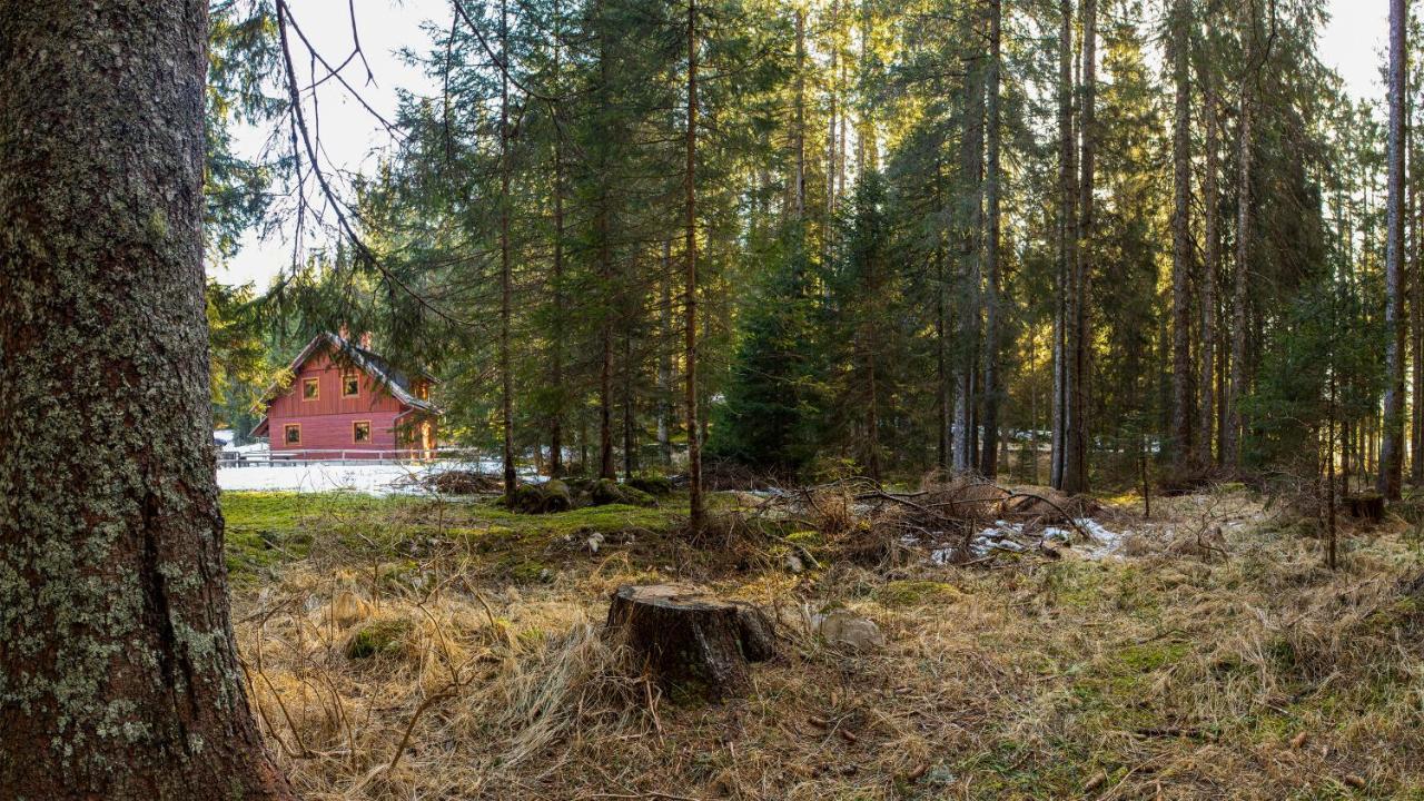 Digital Detox Chalet Pokljuka Goreljek Exterior photo